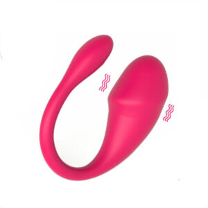 portable vibrator